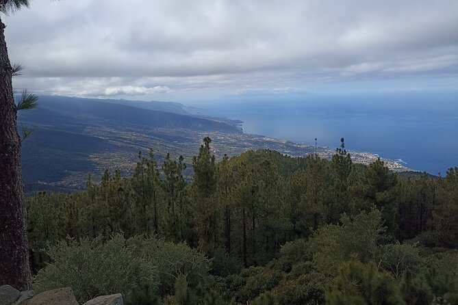 Custom Private Tenerife Volcano Car Tour - Exploring Vilaflor: Tenerife’s Highest Town
