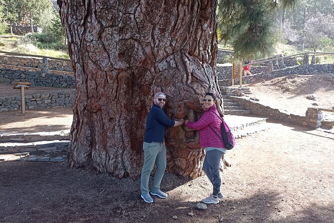 Custom Private Tenerife Volcano Car Tour - Discovering El Pino Gordo and the Volcano Museum