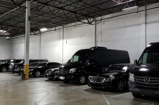 Customizable 4 Hour Private Miami City Tour - Guide Quality and Guest Experience