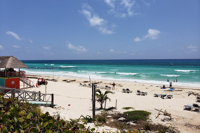 Customizable Private Buggy Tour in Cozumel with Lunch and Snorkel - Visiting Playa Chen Rio and Its Wildlife