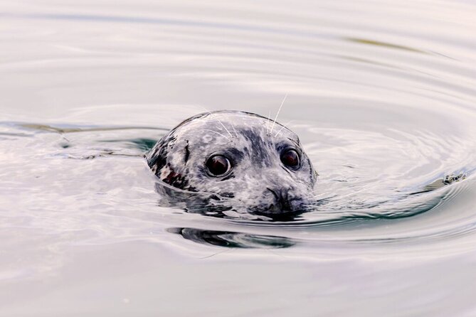 Customizable Private Tour in Ketchikan with Pick Up - Starting at Potlatch Totem Park for Native Heritage