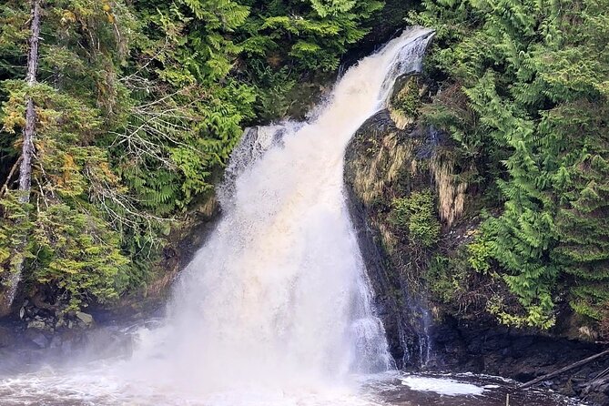 Customize Your Own Private Tour - Knowledgeable Guides and Local Insights