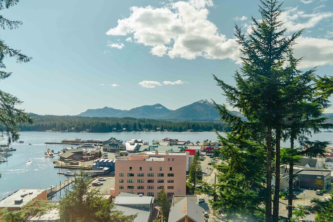 Customized Private Tour in Transit Van - Starting Point: Easy Pickup and Custom Route Planning