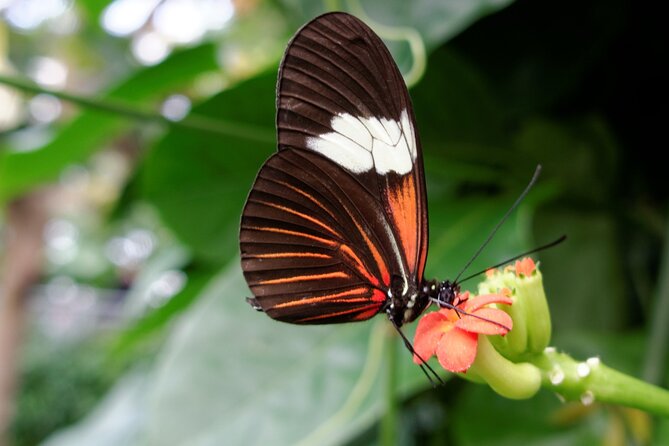 Cuyahoga Valley National Park Self-Guided Driving Audio Tour - Exploring the Great Falls of Tinkers Creek