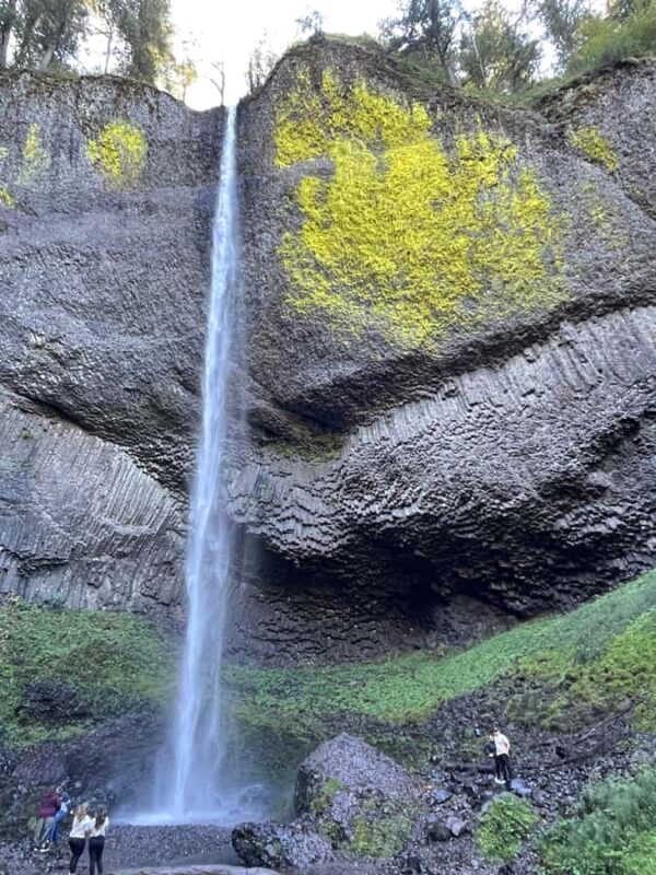 Cyber Waterfall Tours - Booking and Cancellation Policies