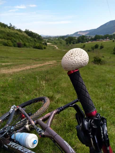 Cycling in Transylvania (Magura, Pestera & Moieciu) - Discover the Beauty of Transylvania on a Cycling Day Trip