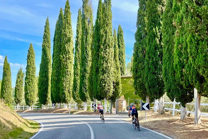 Cycling in Tuscany TOP experience - 1 day race bike rental - Recommendations for Food and Tasting Stops