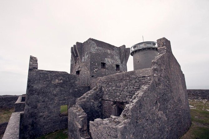 Cycling Inishmore Island. Aran Islands. Self-guided. Full day. - Wildlife and Coastal Scenery: Seal Colonies and Sea Breezes