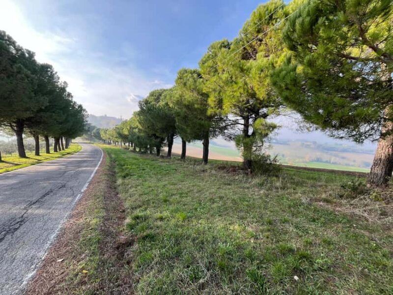 Cycling through history and flavors, discovering the fortress of Dozza in Emilia Romagna - Tasting Emilia-Romagna at the Enoteca Regionale