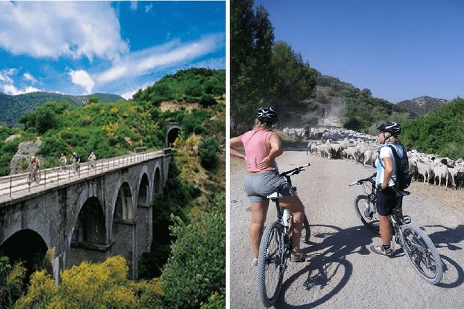 Cycling - Via Verde de la Sierra - 36km - Easy Level - Practicalities: Booking, Timing, and Group Size