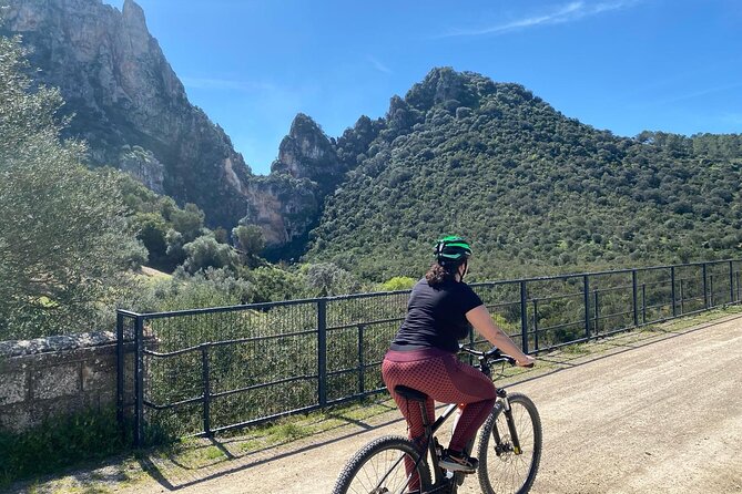 Cycling - Via Verde de la Sierra - Easy Difficulty - Ronda - Transfers and Pacing of the Cycle Route