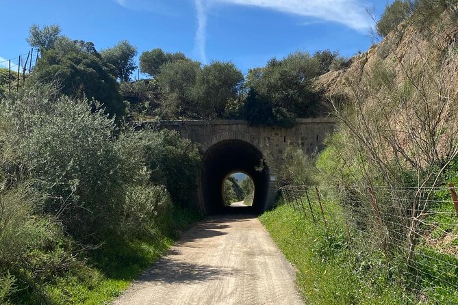 Cycling - Via Verde de la Sierra - Easy Difficulty - Ronda - The Role of Guides and Customer Support