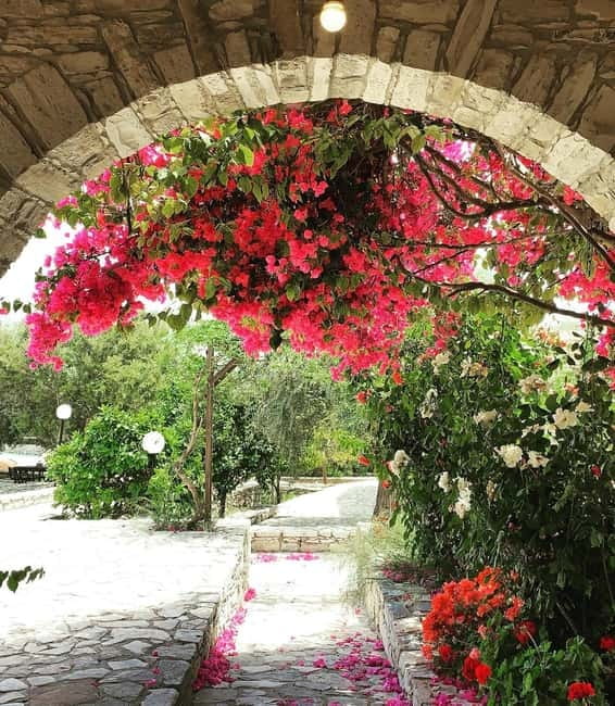 Cypriot Traditions and Donkey Adventures - Key Points