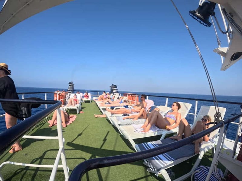 Cyprus: Odyssey Boat Safari from Larnaca to Protaras - Watching Dolphins and Breeding Fish at the Fish Farm