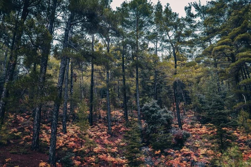 Cyprus: Photography Tour with a Professional Photographer - Practical Tips on Lighting and Composition from a Professional Guide