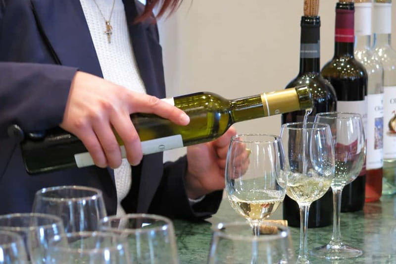 Cyprus: Troodos Mountain Food & Wine Tasting Tour with Lunch - Exploring Traditional Villages in the Troodos Mountains