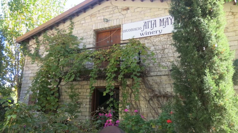 Cyprus: Troodos Mountain Wine Tour with a Local - Exploring the Troodos Mountains with a Local Guide