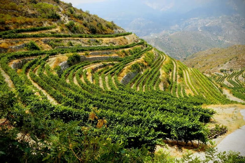 Cyprus: Troodos Mountain Wine Tour with a Local - Exploring Quaint Mountain Villages and Historical Sites