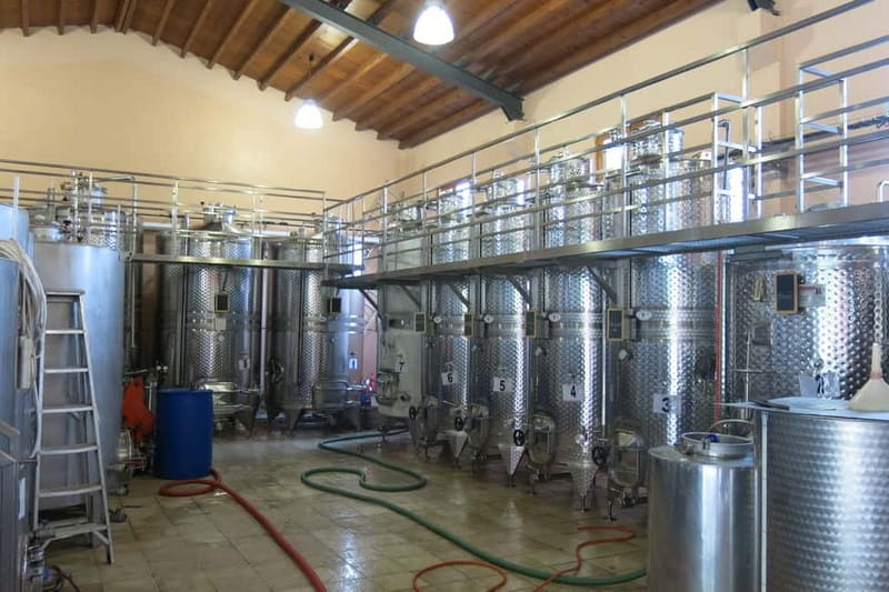 Cyprus: Troodos Mountain Wine Tour with a Local - Enjoying a Traditional Meze Lunch and Local Drinks