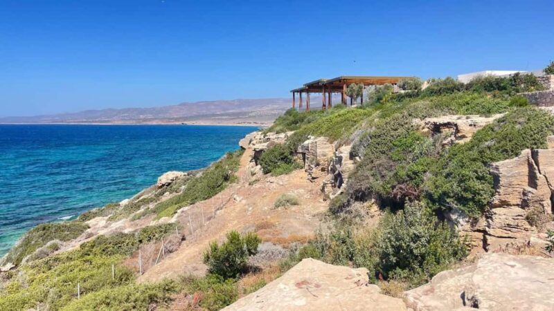 Cyprus Wine & Gastronomy Tour: wine & food tasting - Explore the Authentic Cyprus: A Full-Day Wine & Food Tour from Paphos