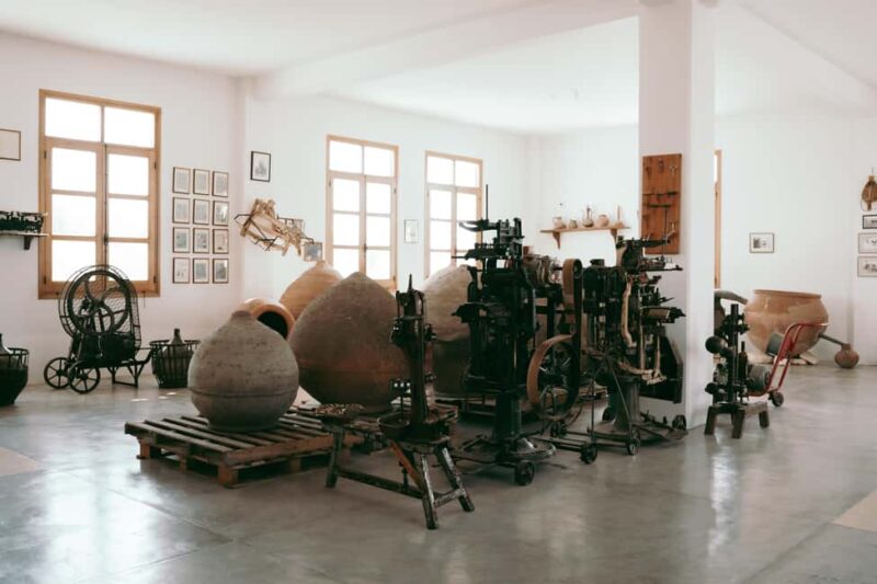 Cyprus Wine & Gastronomy Tour: wine & food tasting - Tasting Cyprus at Vasilikon & Sterna Wineries