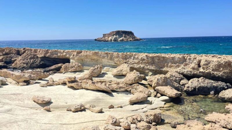 Cyprus Wine & Gastronomy Tour: wine & food tasting - Practical Details: Pickup, Pacing, and Group Size