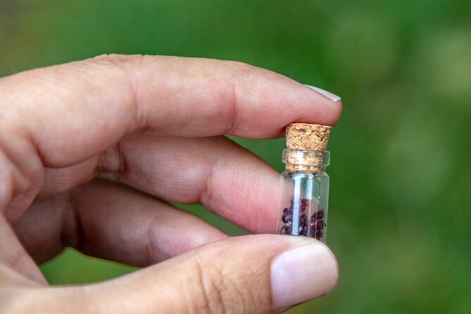 Czech Countryside Villages Tour from Prague with Animal Farm - Enjoying Czech Cuisine at a Charming Local Restaurant