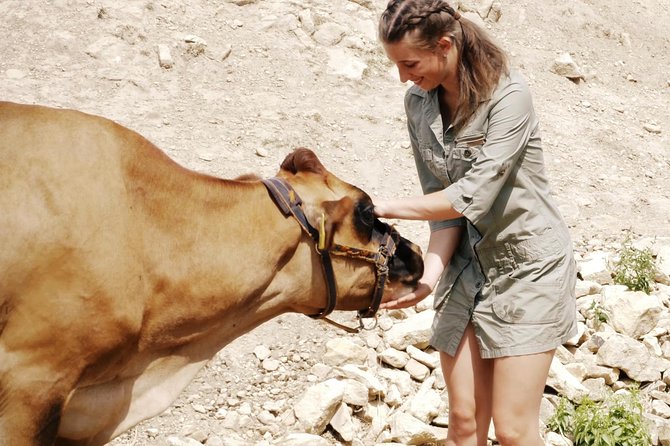 Czech Countryside Villages Tour from Prague with Animal Farm - Discovering the Mysterious Castle Ruins