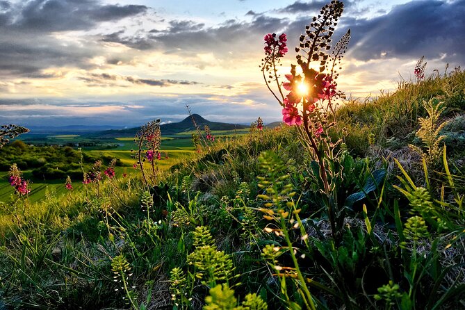 Czech Countryside Villages Tour from Prague with Animal Farm - Logistics: Pickup, Transport, and Group Size