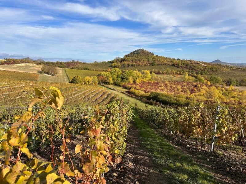 Czech Vineyards and Wine Tasting 4WD Tour with Lunch - The Tour’s Logistics and Comfort