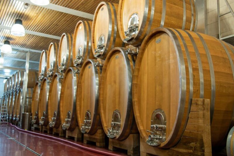 Czech Vineyards and Wine Tasting 4WD Tour with Lunch - The Sum Up: A Relaxing and Informative Day in Czech Vineyards