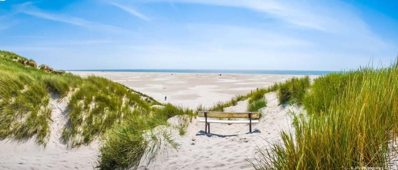 Dagebüll: Daytrip by boat to Amrum - Discover the Charm of Amrum on a Daytrip from Dagebüll