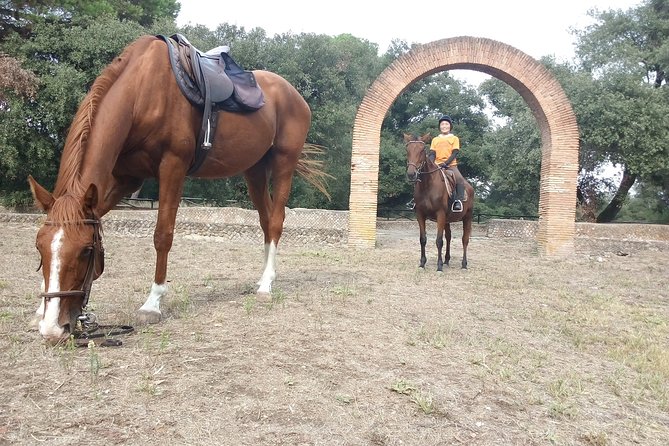 Daily Animals Lovers : Horseback ride with meals & wine included - The Quality of Horses and Guides