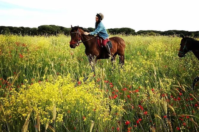 Daily Animals Lovers : Horseback ride with meals & wine included - Unique Aspects of the Tour: Wildlife and Local Culture