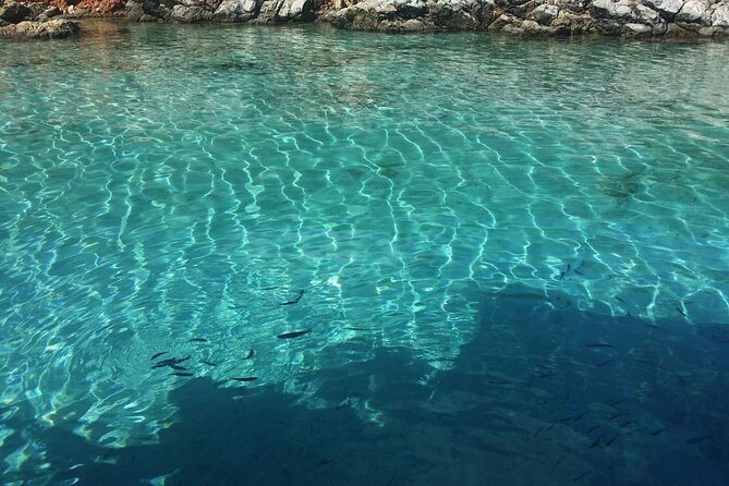 Daily Boat Trip in Bodrum with Lunch - The Crew and Live Commentary Experience