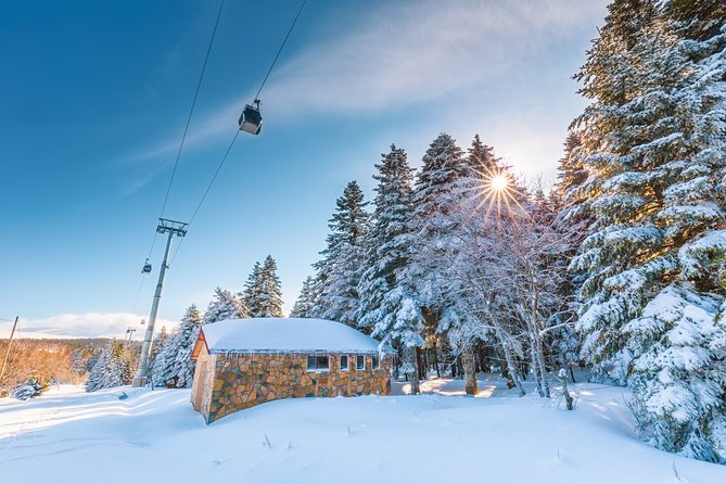 Daily Bursa and Uludag Tour - The Cost and Whats Included