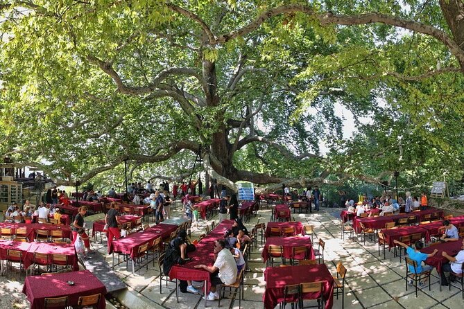 Daily Bursa Uludag Mountain & Cable Car Tour with Lunch from Istanbul - Exploring Bursa’s Historic Sites: Green Tomb and Green Mosque