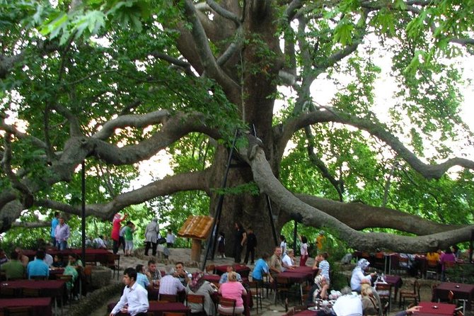 Daily Bursa Uludag Tour - The Tour’s Pacing and Common Criticisms