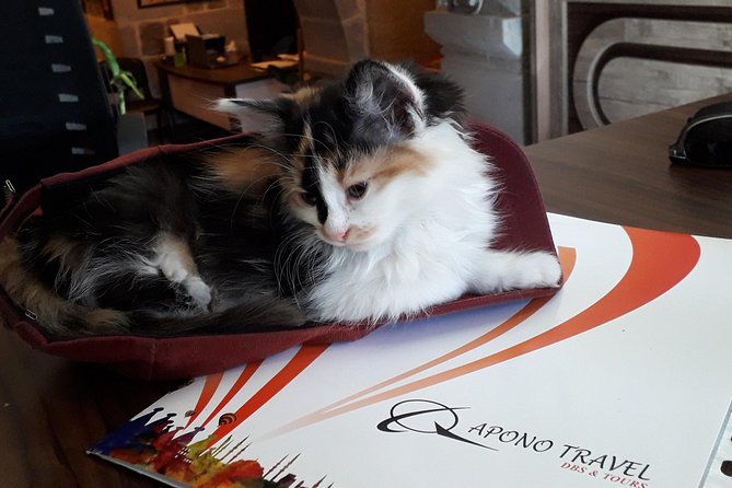 Daily Cappadocia North Tour - Zelve Open Air Museum: Byzantine Churches and Cave Dwellings