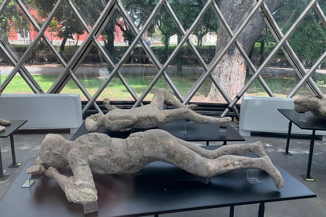 Daily Excursion Full Day 8 Hours ( Amalfi Ravello Pompei) - Personalized Pacing and Flexibility