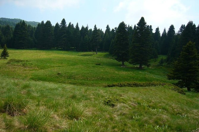 Daily Green Bursa Tour From Istanbul - Uludag National Park and Free Time at the Mountain