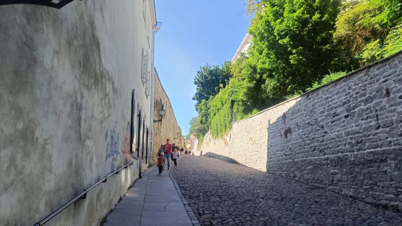 Daily life in Medieval Tallinn - Key Points