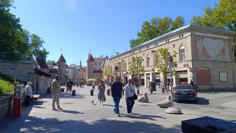 Daily life in Medieval Tallinn - Panoramic Views at Kohtuotsa Viewing Platform