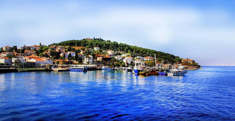 Daily Princes Island Tour from Istanbul - Experience the Charm of Istanbul’s Princes Islands in a Full-Day Tour