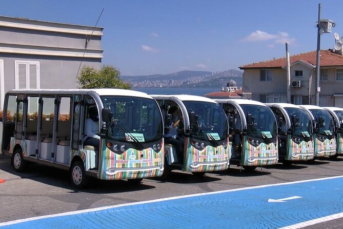 Daily Princes' Islands Tour with Lunch from Istanbul - Exploring Buyukada: The Largest of the Princes Islands