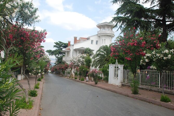 Daily Princes' Islands Tour with Lunch from Istanbul - The Buffet Lunch and Onboard Refreshments