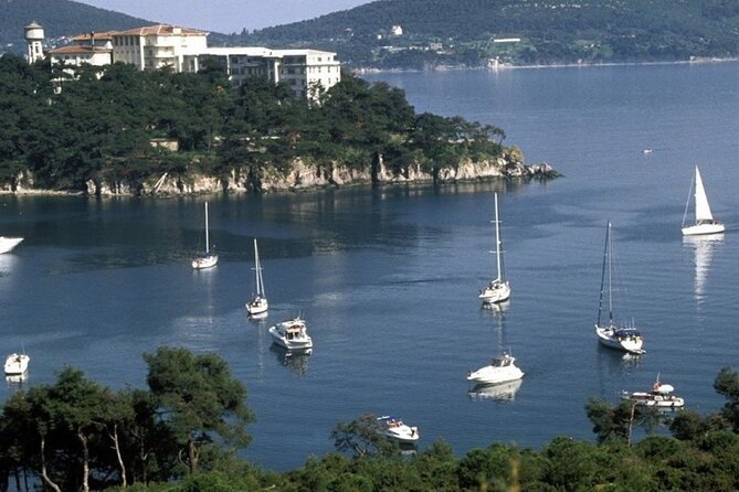 Daily Princes' Islands Tour with Lunch from Istanbul - The Guide and Group Size