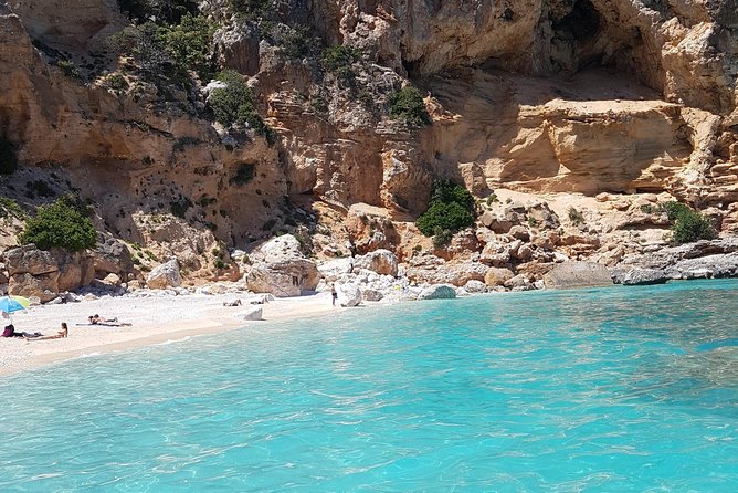 Daily sailing trip in the Orosei coves with lunch - Onboard Experience and Amenities