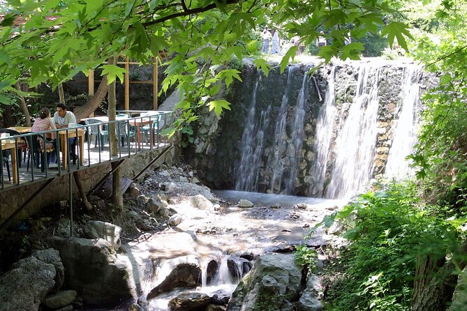 Daily Sapanca Lake & Masukiye Tour - Group Tour Basis - Visiting the Zoo (Seasonal)