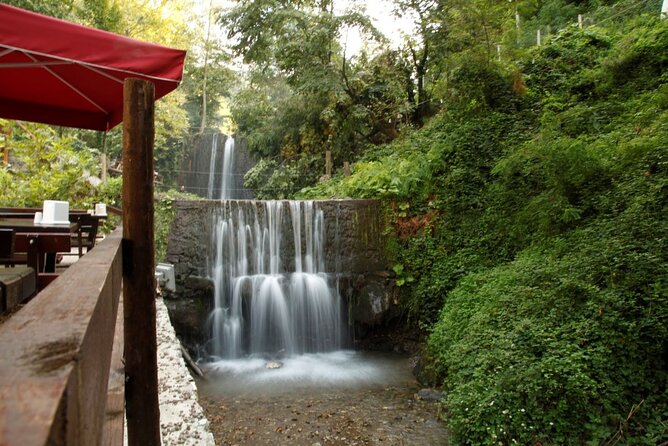 Daily Sapanca & Maukiye & Mahmudiye Tour with Lunch from Istanbul - Scenic Journey to Sapanca Lake and the Turkish Countryside